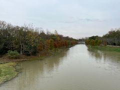 -上海海湾国家森林公园