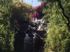 -南诏风情岛