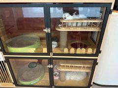 -御宝贝·A梦猫科宠物医院(国际猫友好医院)