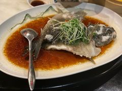清蒸老虎斑鱼（每50克）-誉八仙粤菜(万象天地店)