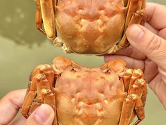 -蟹村草堂·苏式园林人文农家·大闸蟹