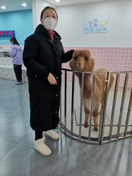 -Moni星球萌宠·小马宝莉·灵蛇·高端高阶全萌宠互动体验俱乐部(红豆国际广场店)