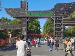 -溱湖国家湿地公园