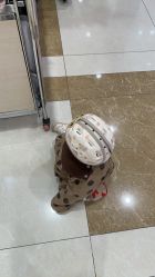 -meland·儿童乐园·游戏厅娃娃机·电玩Xbox(成都合生汇店)