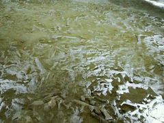 -二连浩特国家地质公园