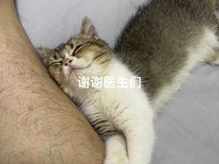 -宠颐生斯嘉宠物医院·急重症·心内科(谷阳北路分院)