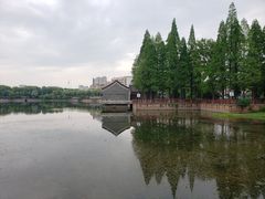 -雨湖公园