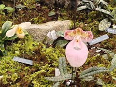 -国家植物园南园