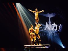 -珠海横琴长隆《卡卡虎奇遇记》