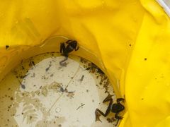 -碓臼峪自然风景区