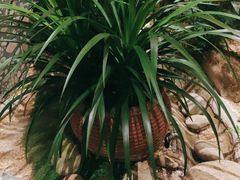 -相遇·川湘融合菜(丹阳吾悦广场店)