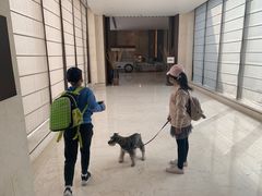 -上海崇明金茂凯悦酒店
