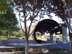 -永定河休闲森林公园