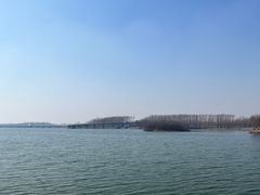 -丁香湖公园