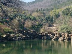 -冶父山国家森林公园