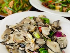 松茸菇杂菇-八美镇邛崃土地坡饭店