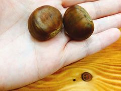 -阿男野栗王(金门路店)