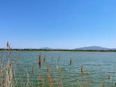 -野鸭湖国家湿地公园