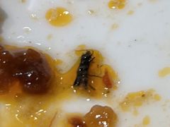 -娱筷海鲜酒家(广州南沙店)
