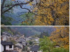 -石潭村