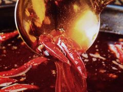 -小龙坎火锅(泉舜店)