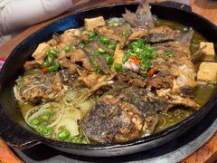 -老板恋上鱼(恒隆广场店)