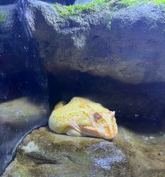 -酷嗒动物文化乐园(cutezoo西溪乐天城店)