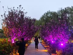 -洛阳市隋唐城遗址植物园