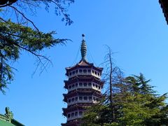 -高旻寺