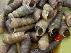 和味炒丁螺-贞姨美食·老字号海鲜大排档