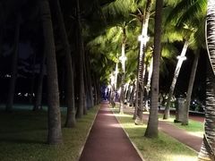 -万绿园
