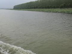 -微山湖红荷湿地景区