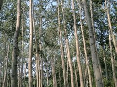 -仁和公园(顺义区)