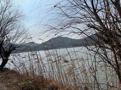 -鸣鹤古镇