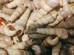 -五谷丰登·胶东海鲜·家常菜(张村店)