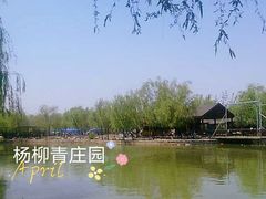 -杨柳青庄园