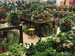-双季花艺园艺市场(浦东店)