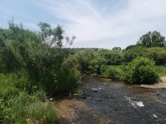 -御道口草原森林风景区