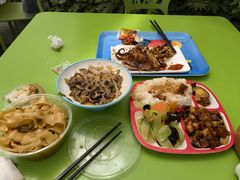 -南宫五洲植物乐园