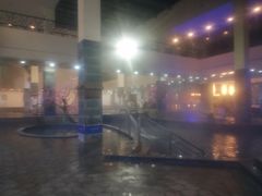 -乳源丽宫国际温泉酒店