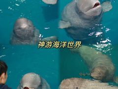 -威海华夏城景区