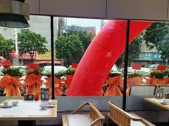 -鸽小宝(深圳首店)