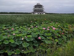 -呼兰河口湿地公园