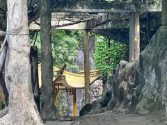 -大雁山风景区