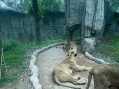 -北京野生动物园