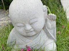 -天津大悲禅院