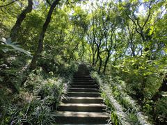 -句容茅山景区