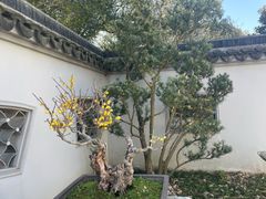 -无锡梅园公园