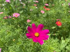 -三亚南山文化旅游区