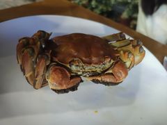 清蒸大闸蟹-501號台州海鲜餐厅(海创园店)